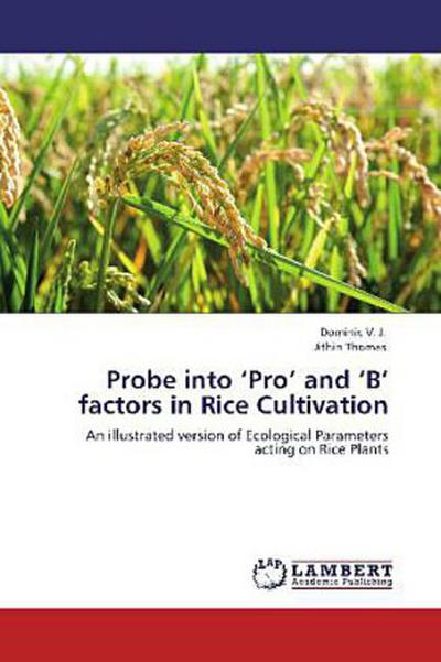 Probe into  Pro  and  B  factors in Rice Cultivation
