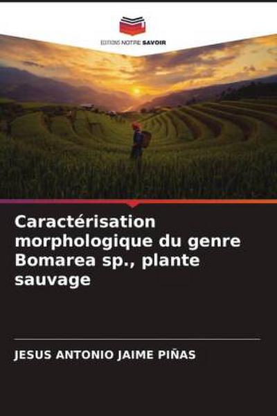 Caractérisation morphologique du genre Bomarea sp., plante sauvage