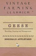 Geese - Breeding, Rearing and Management