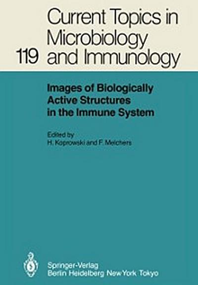 Images of Biologically Active Structures in the Immune System