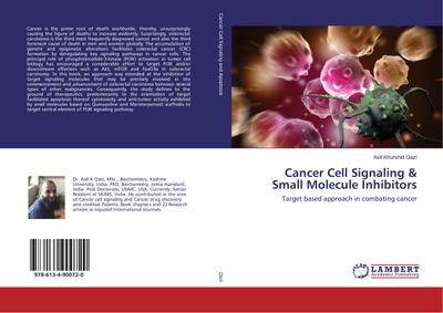 Cancer Cell Signaling & Small Molecule Inhibitors