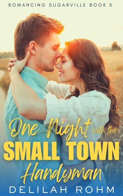 One Night With the Small Town Handyman (Romancing Sugarville, #5)