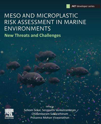 Meso and Microplastic Risk Assessment in Marine Environments