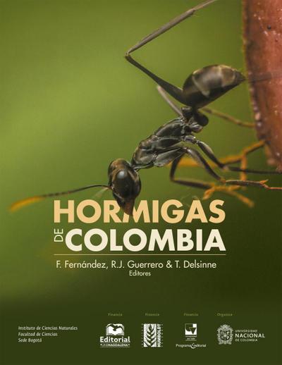 Hormigas de Colombia