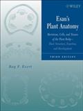 Esau’s Plant Anatomy