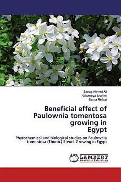 Beneficial effect of Paulownia tomentosa growing in Egypt
