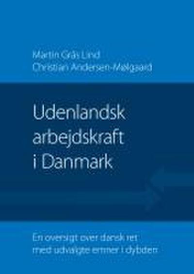 Udenlandsk arbejdskraft i Danmark