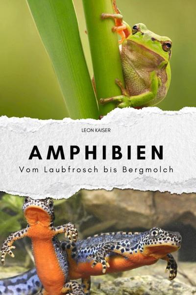 Amphibien - Das perfekte Geschenk für Männer und Frauen zu Weihnachten und Geburtstag