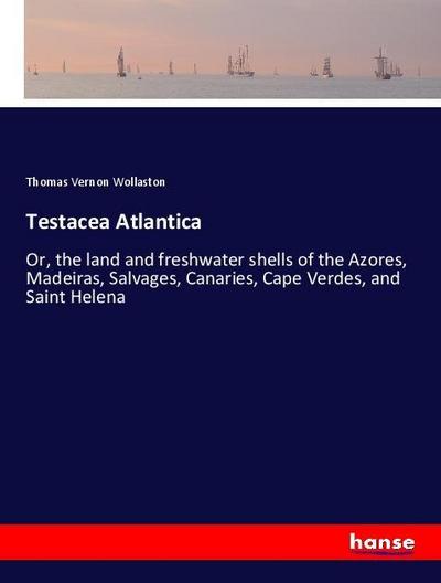 Testacea Atlantica