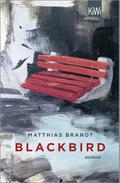 Blackbird