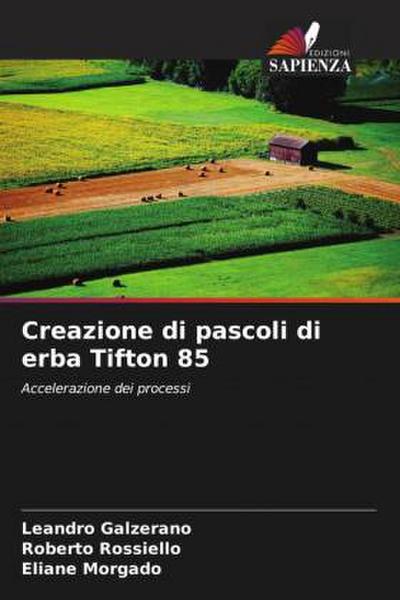 Creazione di pascoli di erba Tifton 85