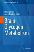 Brain Glycogen Metabolism