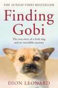 Finding Gobi (Main Edition)