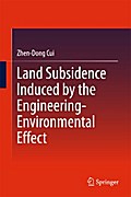 Land Subsidence Induced by the Engineering-Environmental Effect