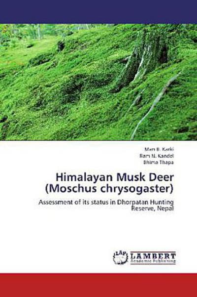 Himalayan Musk Deer (Moschus chrysogaster)