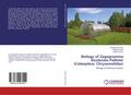 Biology of Zygogramma bicolorata Pallister (Coleop