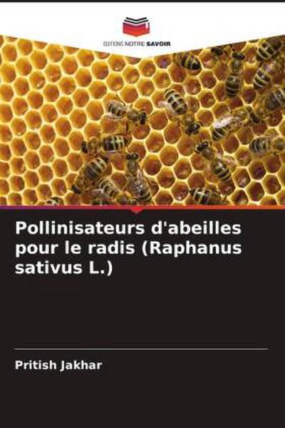 Pollinisateurs d’abeilles pour le radis (Raphanus sativus L.)