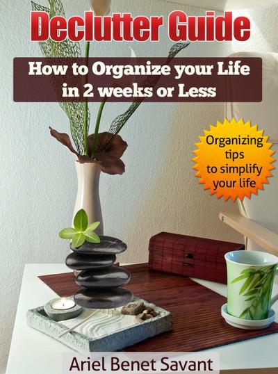 The Declutter Guide (1st book in series, #1)