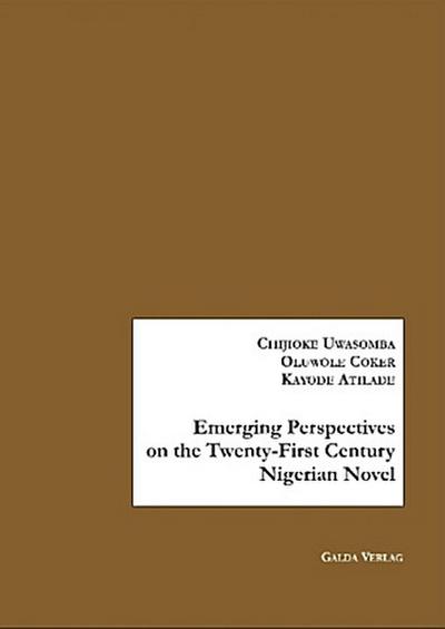 Emerging Perspectives on the Twenty-First Century Novel