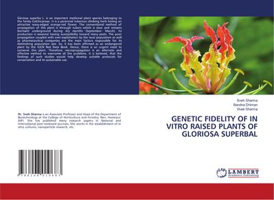 GENETIC FIDELITY OF IN VITRO RAISED PLANTS OF GLORIOSA SUPERBAL
