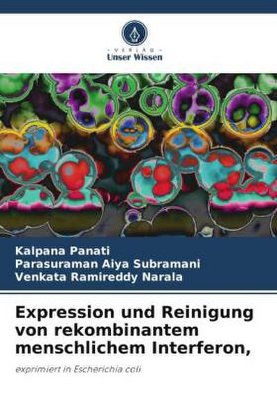 Expression und Reinigung von rekombinantem menschlichem Interferon