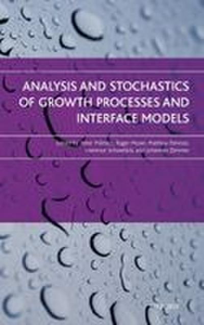 Analysis and Stochastics of Growth Processes and Interface Models