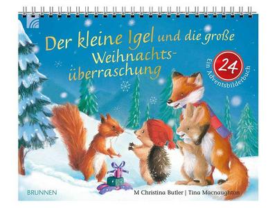 Der kleine Igel und die große Weihnachtsüberraschung: Ein Adventsbilderbuch