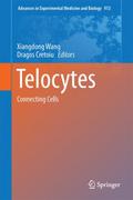 Telocytes