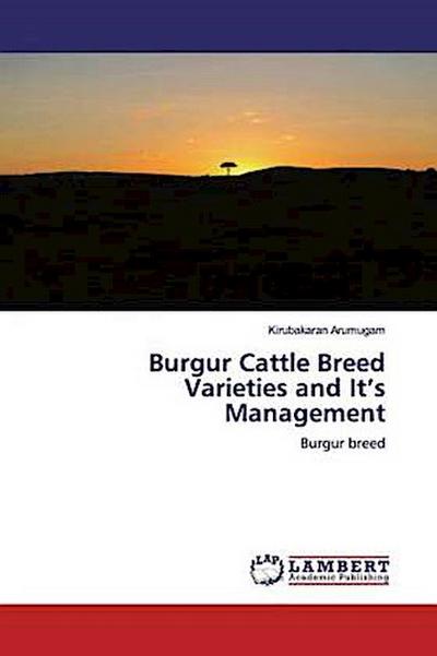 Burgur Cattle Breed Varieties and It’s Management