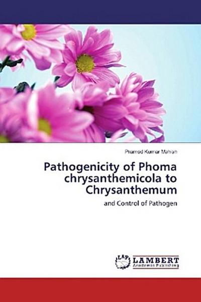 Pathogenicity of Phoma chrysanthemicola to Chrysanthemum