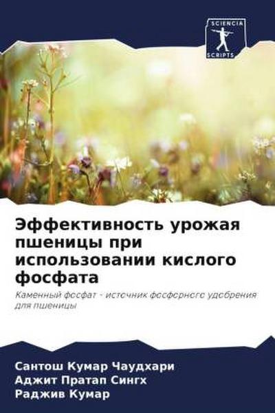 Jeffektiwnost’ urozhaq pshenicy pri ispol’zowanii kislogo fosfata