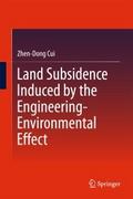 Land Subsidence Induced by the Engineering-Environ