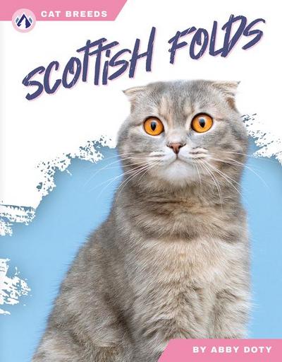 Scottish Folds