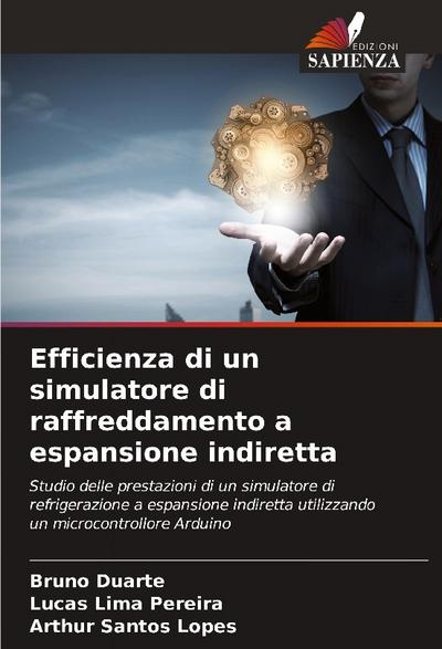 Efficienza di un simulatore di raffreddamento a espansione indiretta
