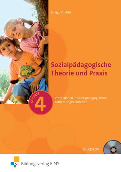 Sozialpädagogische Theorie und Praxis Professionell in sozialpädagogischen Einrichtungen arbeiten (Lernfeld 4), m. CD-ROM