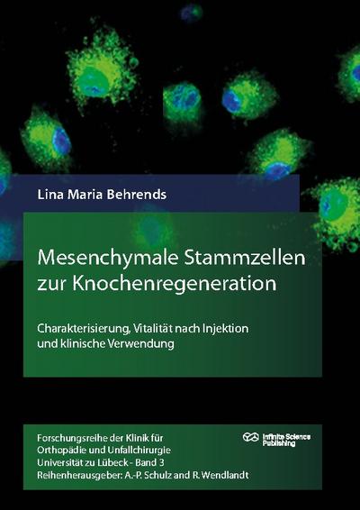 Mesenchymale Stammzellen zur Knochenregeneration