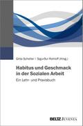Habitus und Geschmack in der Sozialen Arbeit