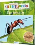 Meine große Tierbibliothek: Die Ameise