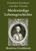 Merkwürdige Lebensgeschichte (Großdruck)