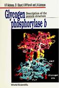GLYCOGEN PHOSPHORYLASE b:DESCRIP PROTEIN