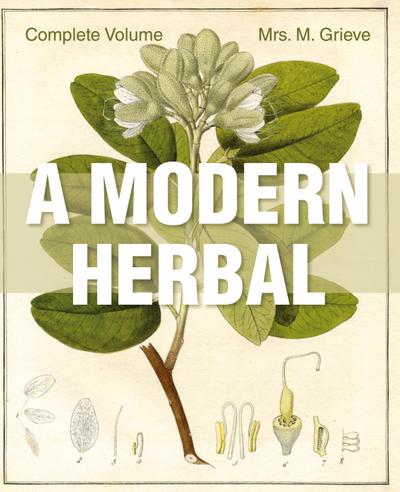 A Modern Herbal