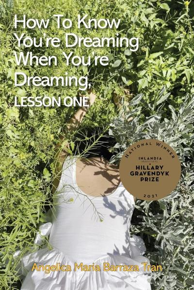 How to Know You’re Dreaming When You’re Dreaming, lesson one