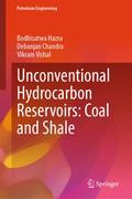 Unconventional Hydrocarbon Reservoirs: Coal and Sh