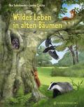 Wildes Leben in alten Bäumen