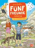 Fünf Freunde JUNIOR - Der unsichtbare Dieb