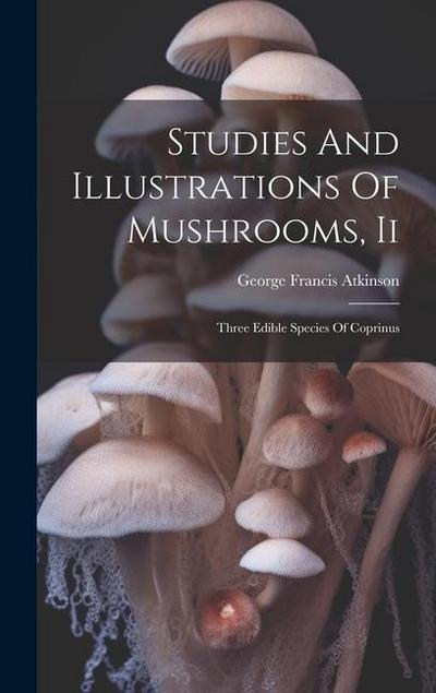 Studies And Illustrations Of Mushrooms, Ii