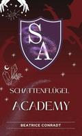 Schattenflügel-Academy