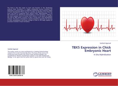 TBX5 Expression in Chick Embryonic Heart
