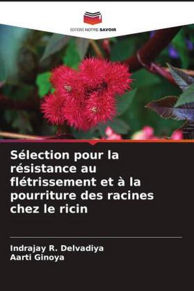 Sélection pour la résistance au flétrissement et à la pourriture des racines chez le ricin