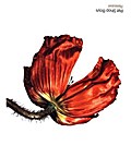 Release:Further Listening 2001-2004